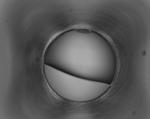 X0000091721248200708241012