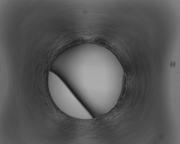 X0000091721249200708241011