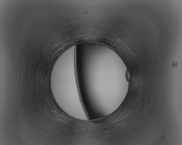 X0000091721250200708241011