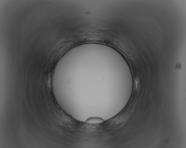 X0000091721251200708241011