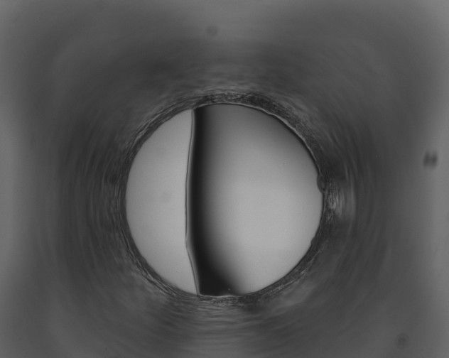 X0000091721252200708241011