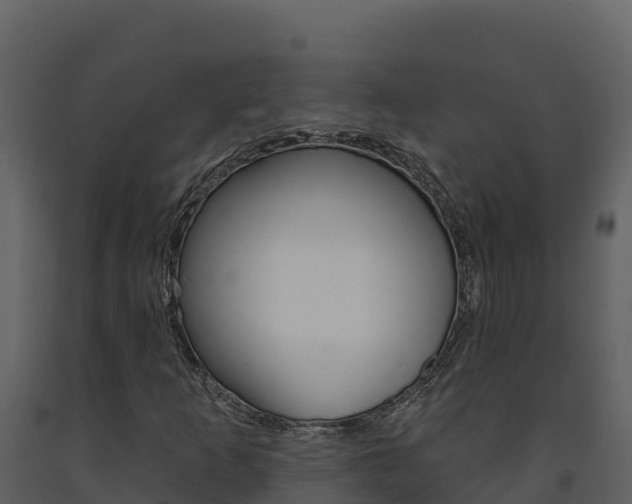 X0000091721253200708241011
