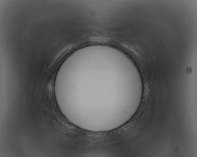 X0000091721254200708241011