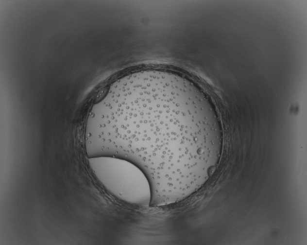 X0000091721255200708241011