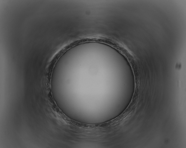 X0000091721256200708241011