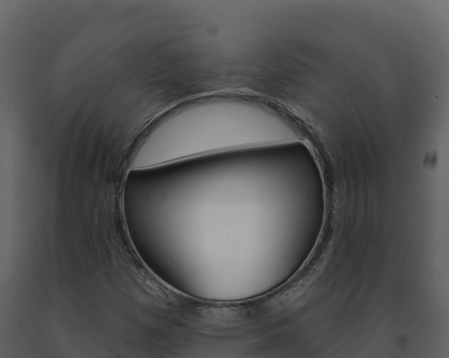 X0000091721257200708241011
