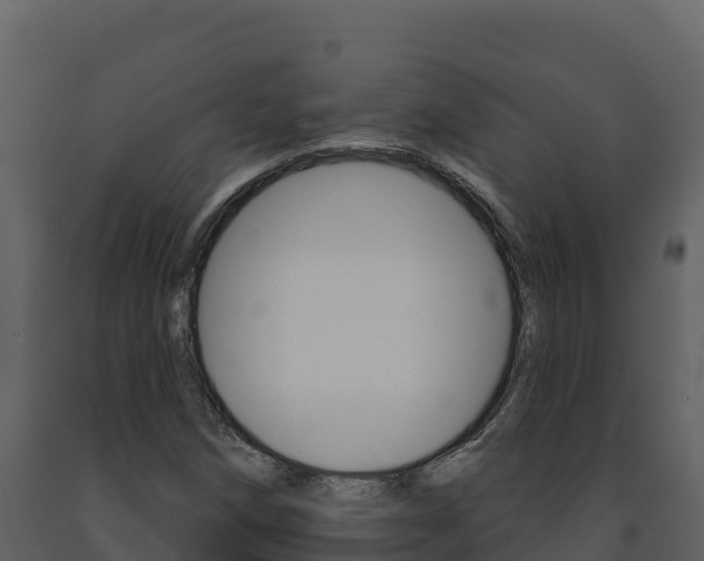 X0000091721258200708241011