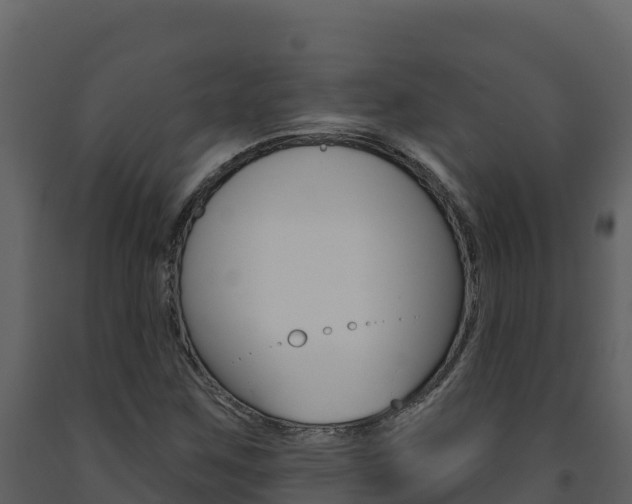 X0000091721259200708241011