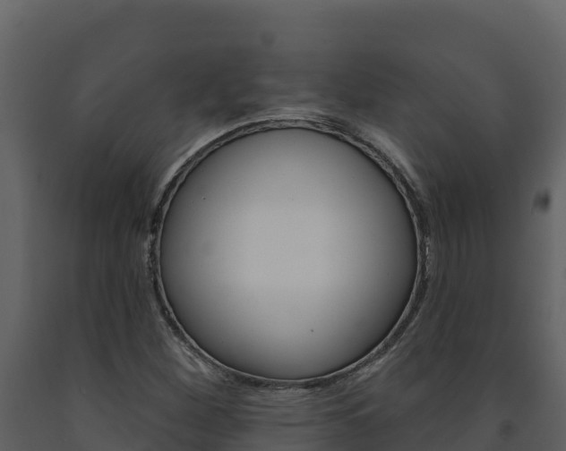 X0000091721260200708241011