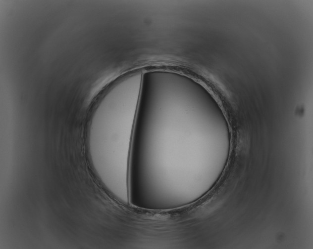 X0000091721261200708241011