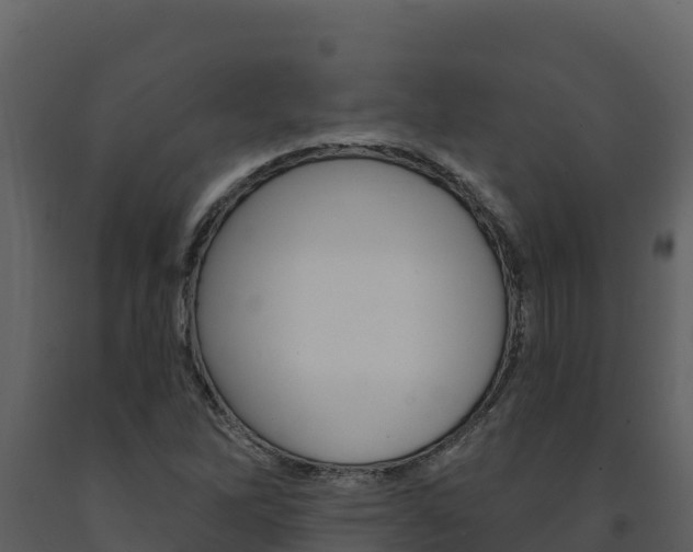 X0000091721262200708241011