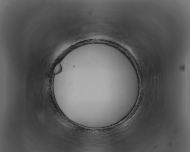 X0000091721263200708241011