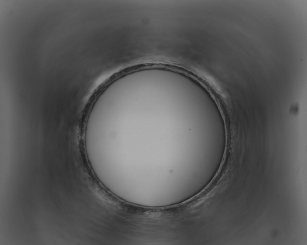 X0000091721264200708241011