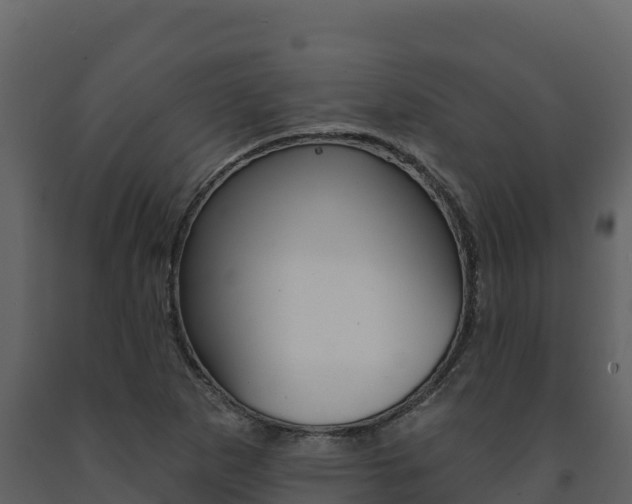 X0000091721265200708241011