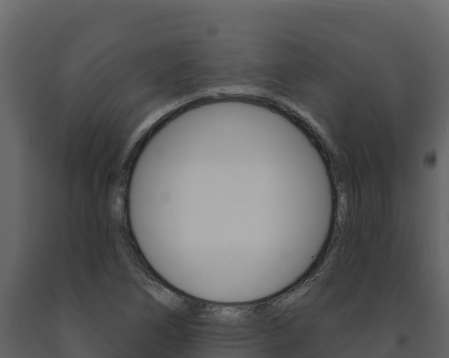 X0000091721266200708241011