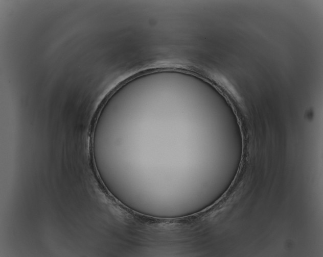 X0000091721268200708241011