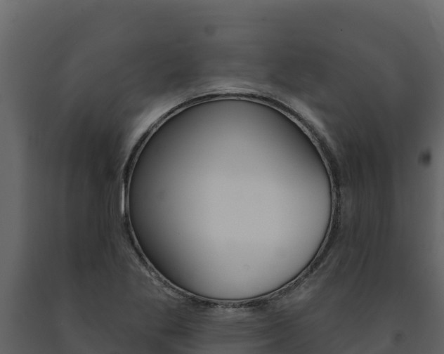 X0000091721269200708241011