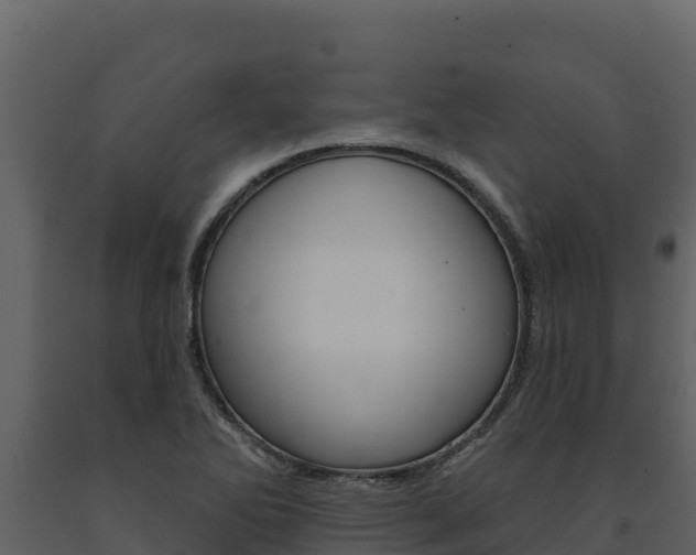 X0000091721270200708241011