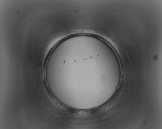 X0000091721271200708241011