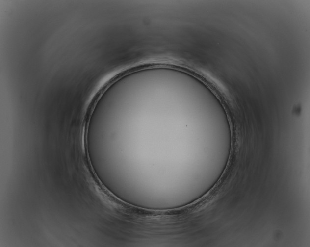 X0000091721272200708241011