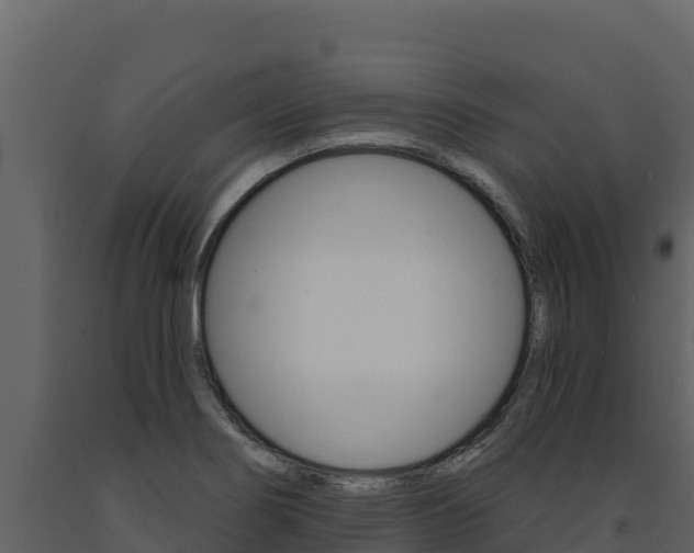 X0000091721274200708241011