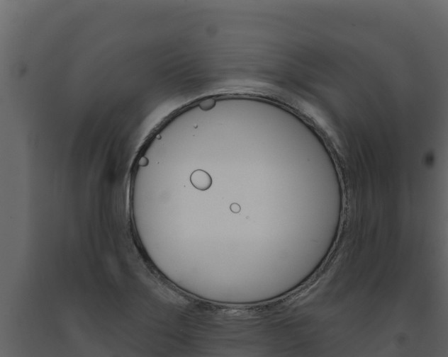 X0000091721275200708241011