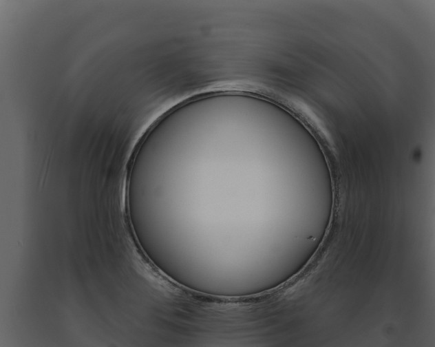 X0000091721276200708241011