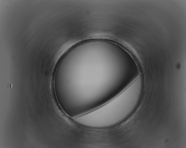 X0000091721277200708241011