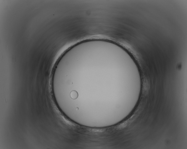 X0000091721278200708241011