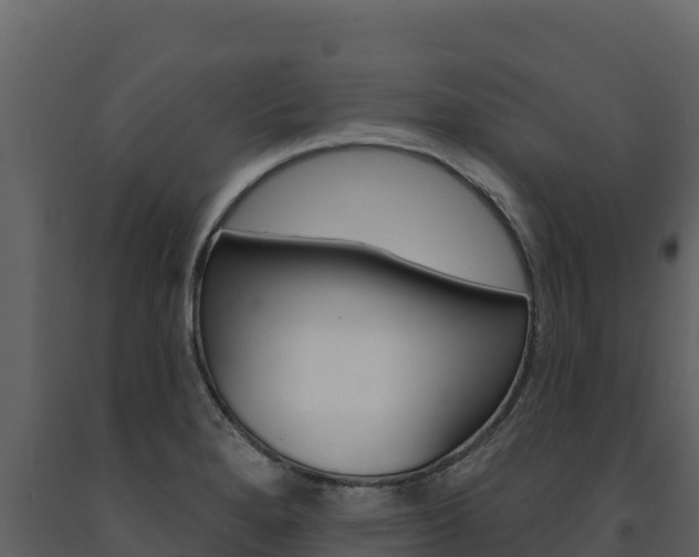 X0000091721280200708241011