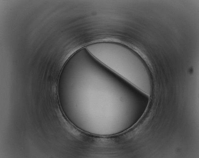 X0000091721281200708241011