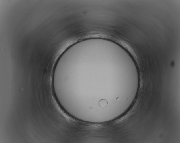X0000091721282200708241011