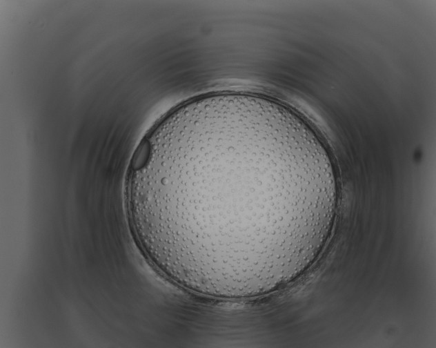 X0000091721283200708241011
