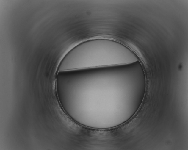X0000091721284200708241011