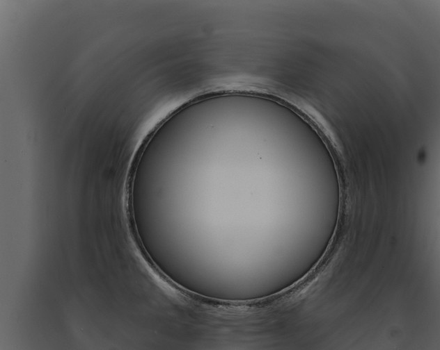 X0000091721285200708241011