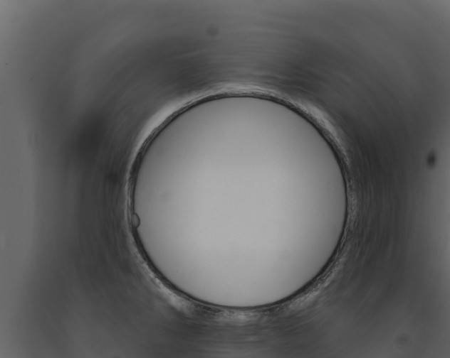 X0000091721286200708241011