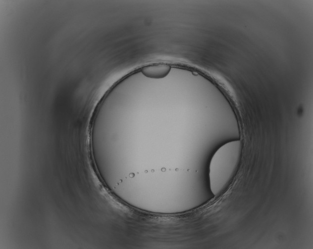 X0000091721287200708241011