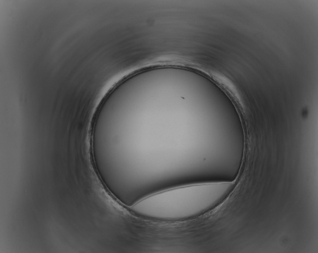 X0000091721288200708241011