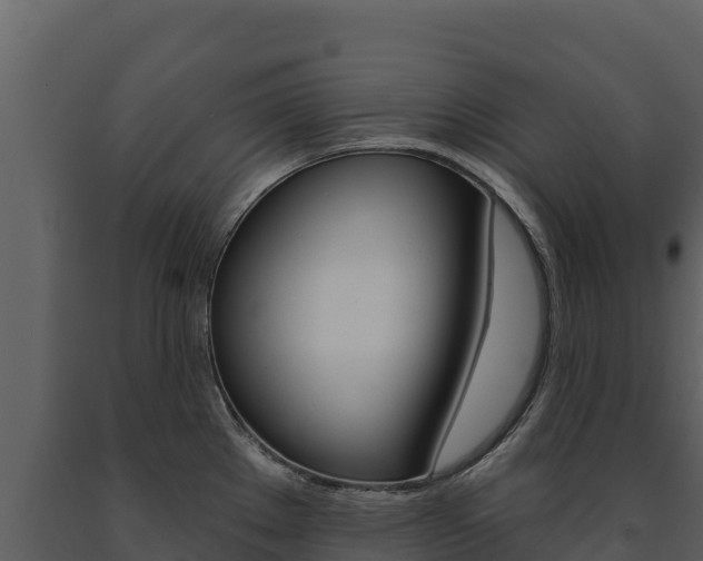 X0000091721289200708241011