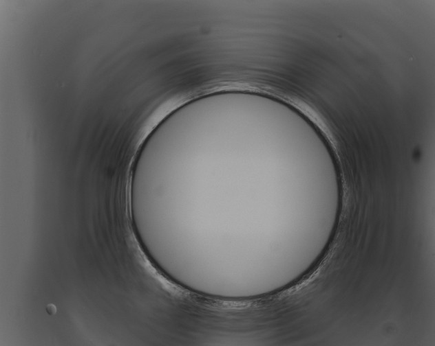 X0000091721290200708241011