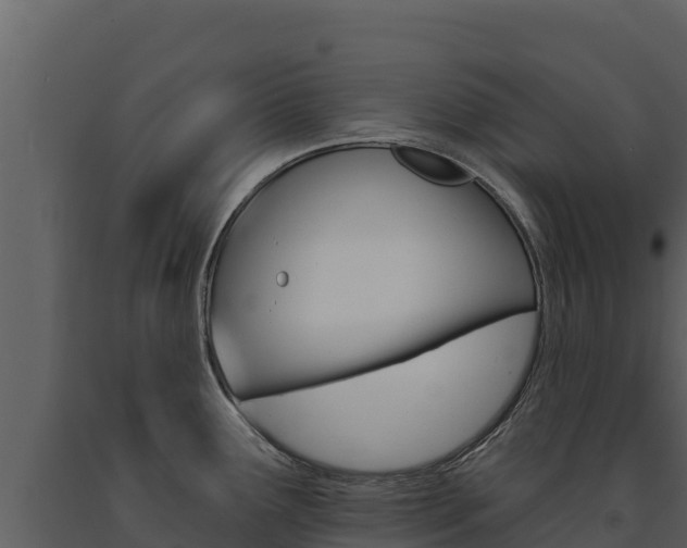 X0000091721291200708241011