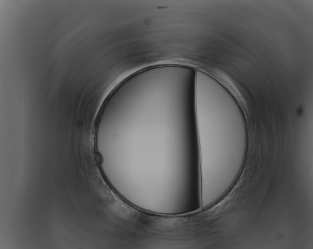 X0000091721292200708241011