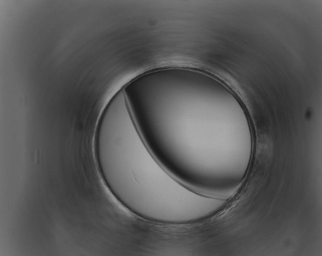 X0000091721293200708241011