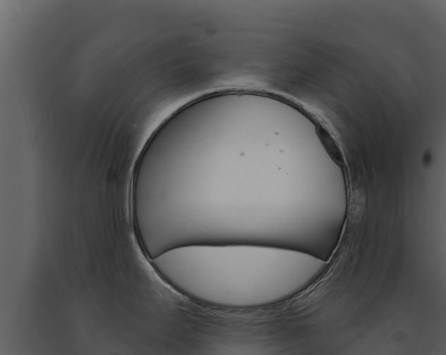X0000091721295200708241011