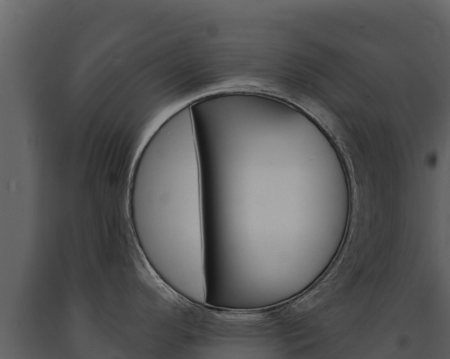 X0000091721296200708241011