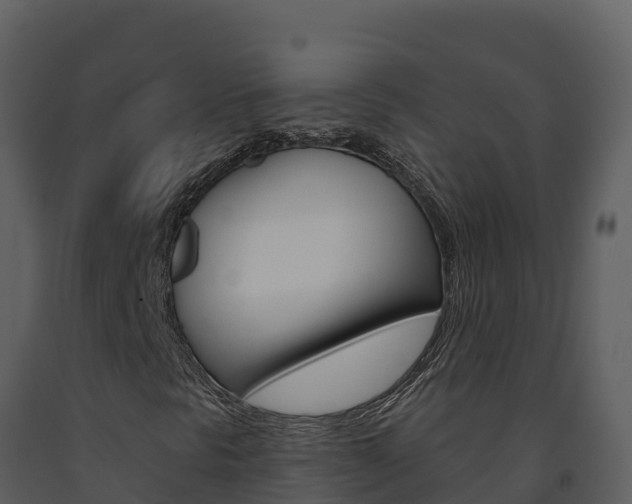 X0000091721297200708241010