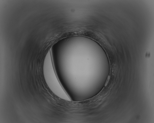 X0000091721298200708241010