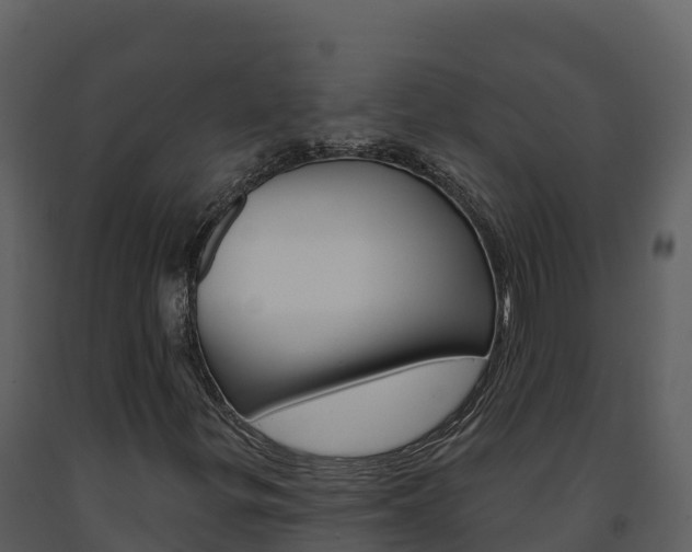 X0000091721299200708241010