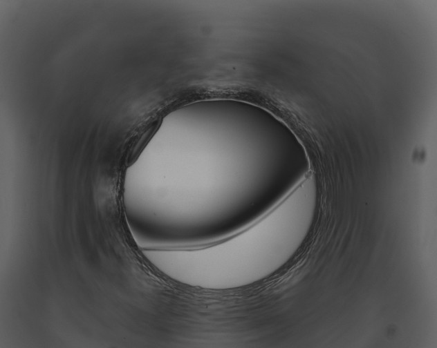 X0000091721300200708241010