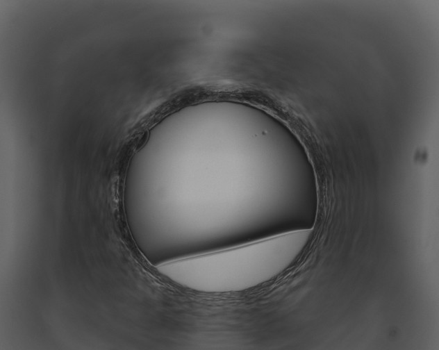 X0000091721301200708241010